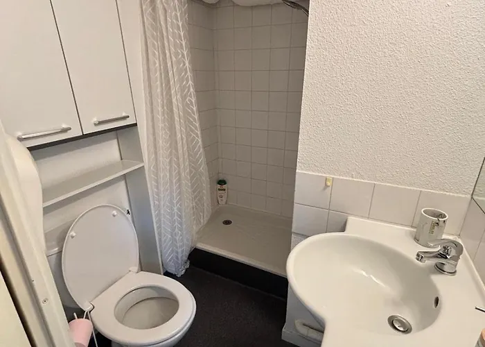 Le Cocon Des Geants Тулуза