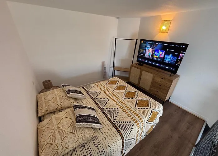 Апартаменты Le Cocon Des Geants Тулуза